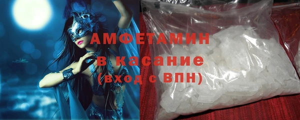 гашик Алексин