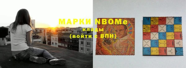 гашик Алексин