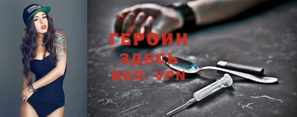 гашик Алексин