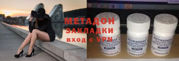 гашик Алексин