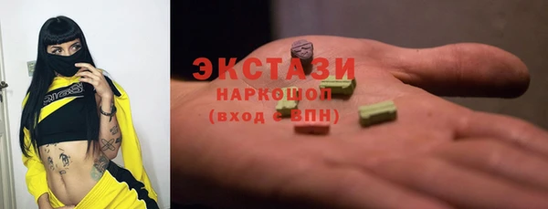 гашик Алексин