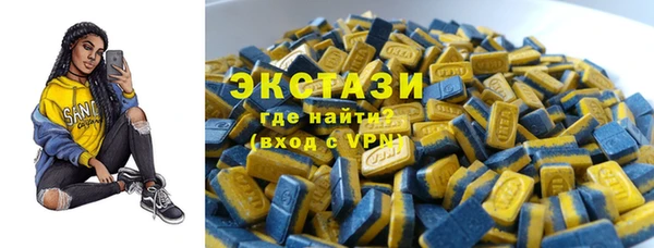 гашик Алексин