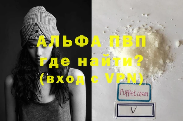 гашик Алексин