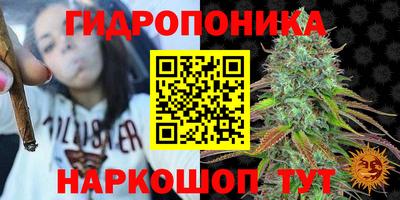 МДПВ Гай