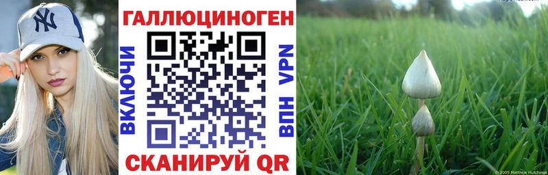 площадка официальный сайт  блэк спрут как войти  Новодвинск  Псилоцибиновые грибы GOLDEN TEACHER 