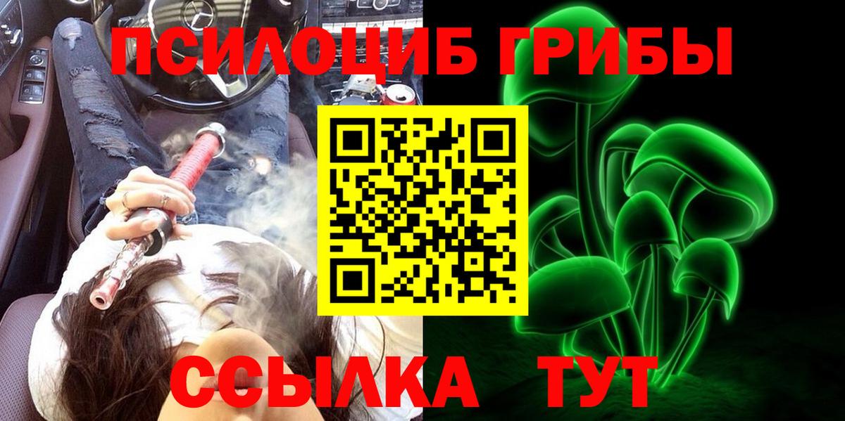 Новодвинск  купить закладку  Вход с VPN  Псилоцибиновые грибы Psilocybe  Галлюциногенные грибы мухоморы 