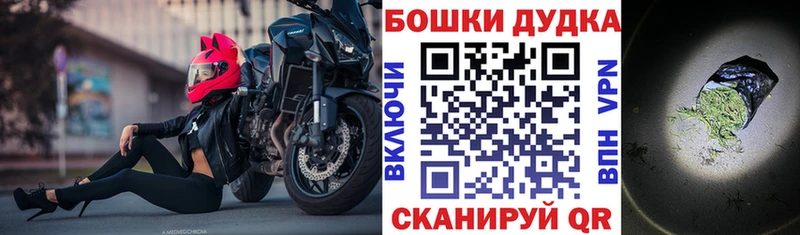 Каннабис сатива Новодвинск
