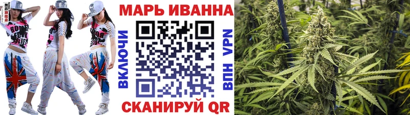 Канабис гибрид  Новодвинск 